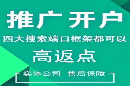 SEM竞价代运营公司案例创新解析